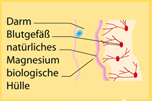 Magnesium bei Muskelschmerzen, Muskelkater, Myalgie.